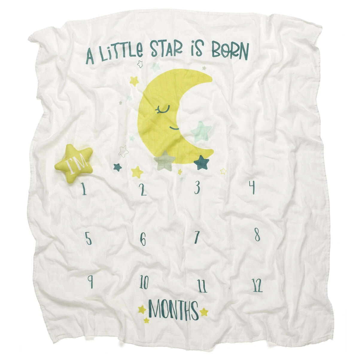 Monthly Milestone Baby Blanket | Build-A-Bear® - US 4284