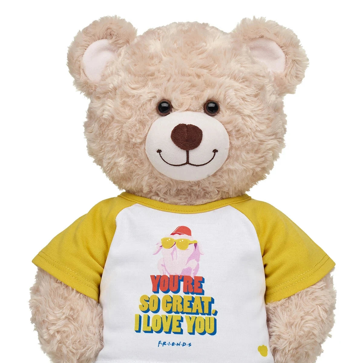 FRIENDS TV Show Turkey T-Shirt for Stuffed Animals | Build-A-Bear® - US 8115