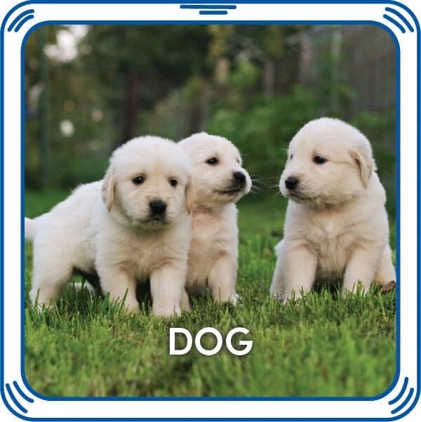 Puppy 5-in-1 Sound for Stuffed Animals | Build-A-Bear® - US 1711