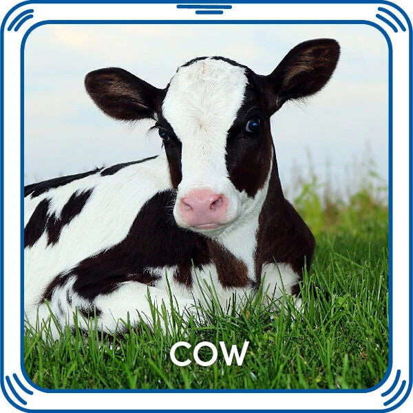 Cow Sound for Stuffed Animals | Build-A-Bear® - US 1308