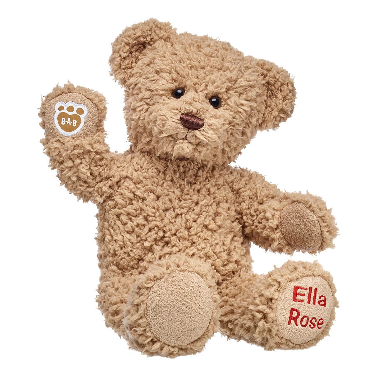 Embroidered Teddy Bear | Online Exclusive Gift | Shop at Build-A-Bear® - US 4913