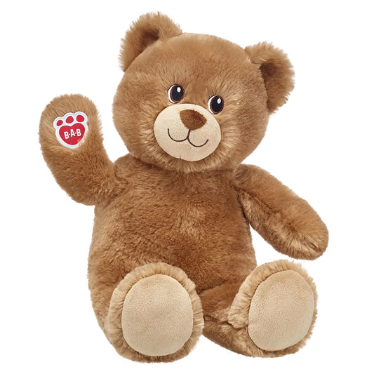 Lil' Cub® Brownie Teddy Bear "Get Well Soon" Gift Set | Build-A-Bear® - US 7683