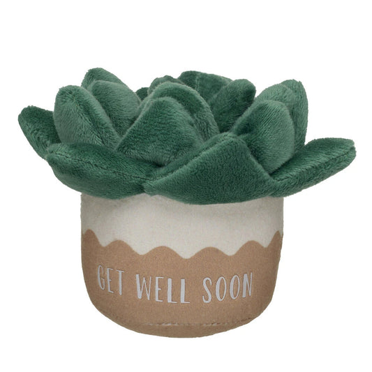 HB GET WELL PLANT - US 9833