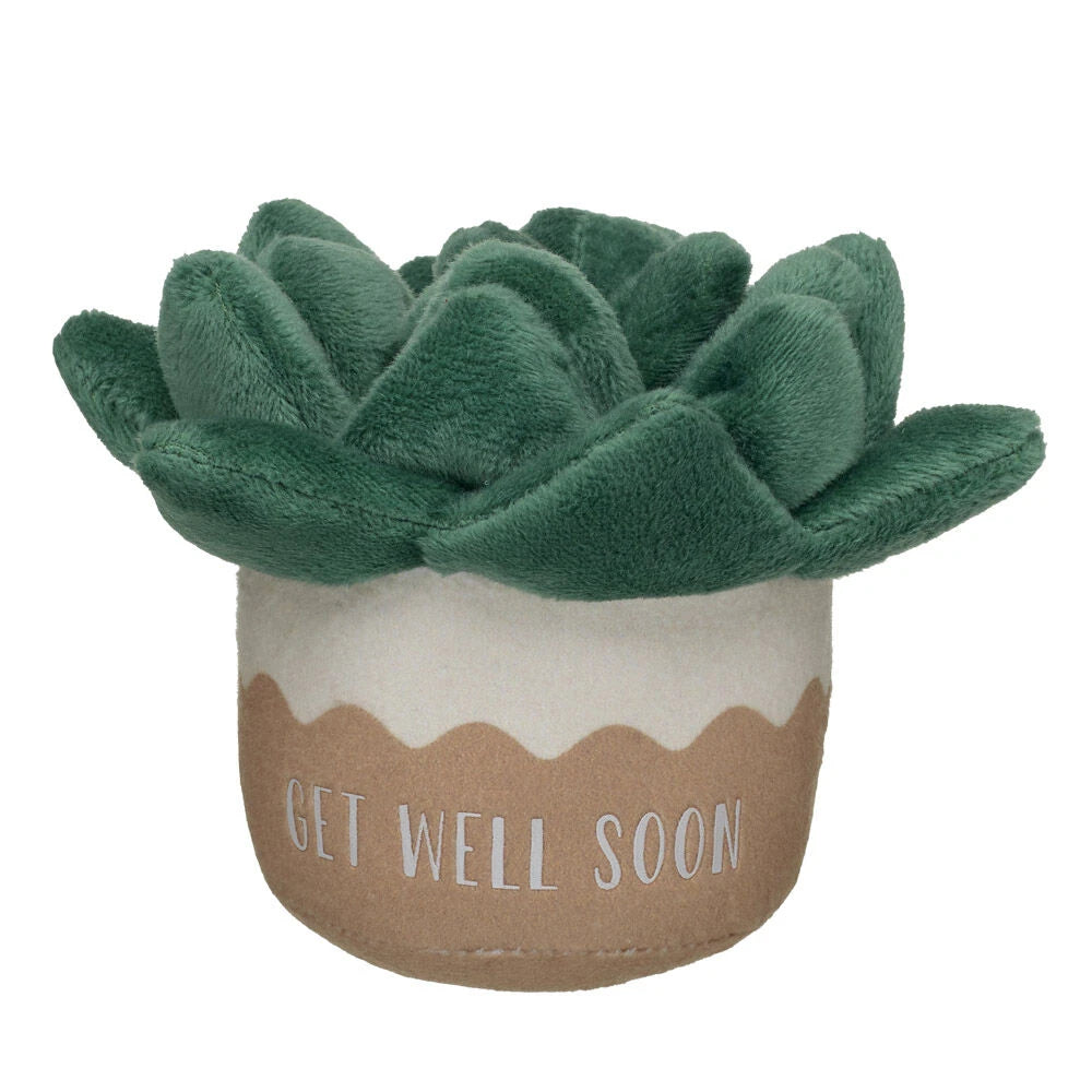 HB GET WELL PLANT - US 6623