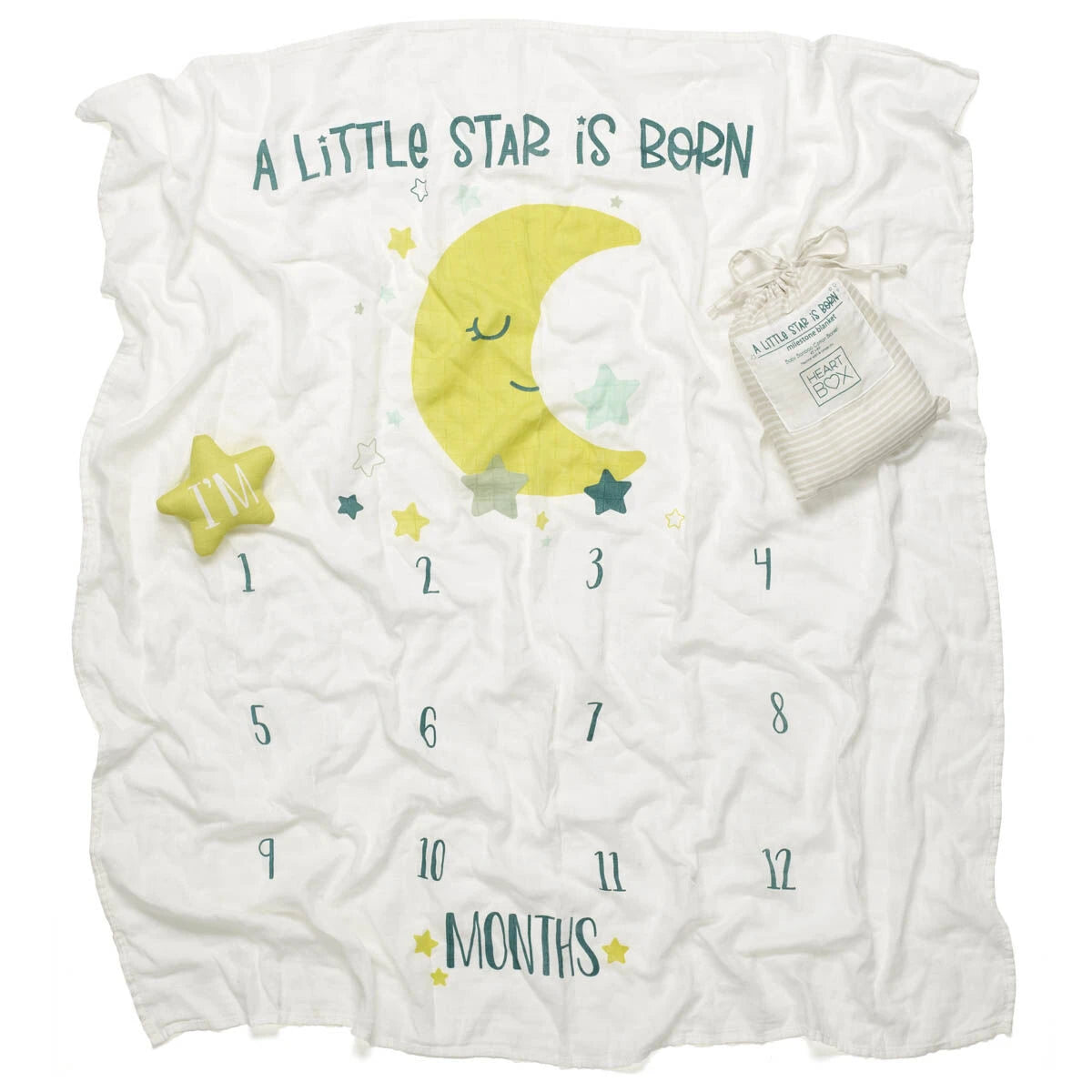 Monthly Milestone Baby Blanket | Build-A-Bear® - US 4284