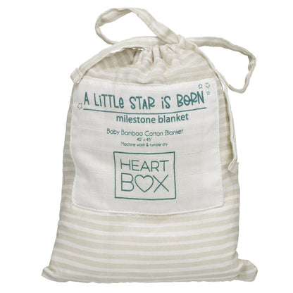 Monthly Milestone Baby Blanket | Build-A-Bear® - US 4284