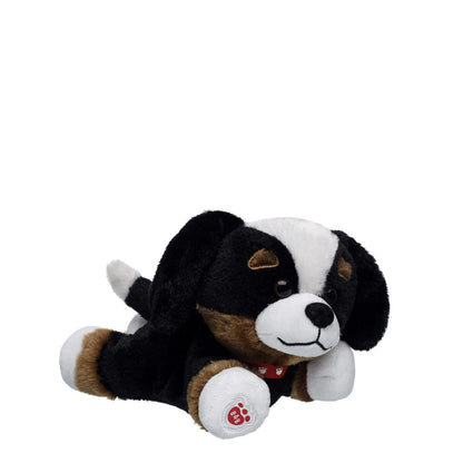 Promise Pets Bernese Mountain Dog Stuffed Animal Mini Beans Gift Set | Build-A-Bear - US 6040