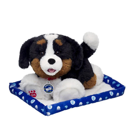 Promise Pets Bernese Mountain Dog Stuffed Animal w/ Blue Bed | Build-A-Bear - US 5609
