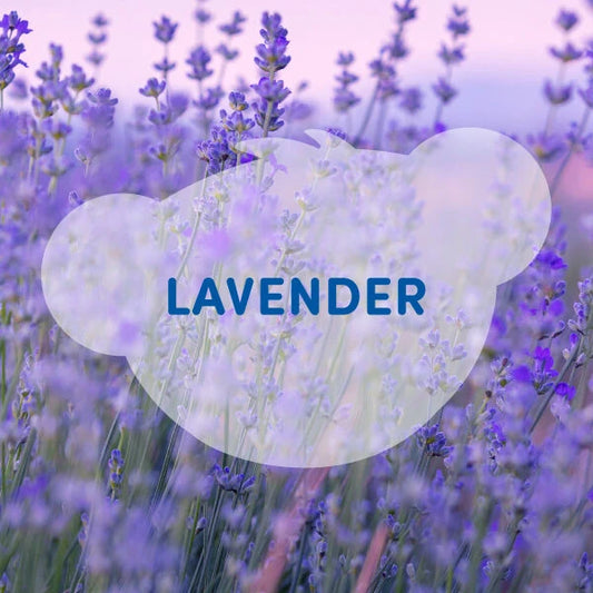 SCENTiments™ Lavender Scent for Stuffed Animals | Build-A-Bear® - US 1818