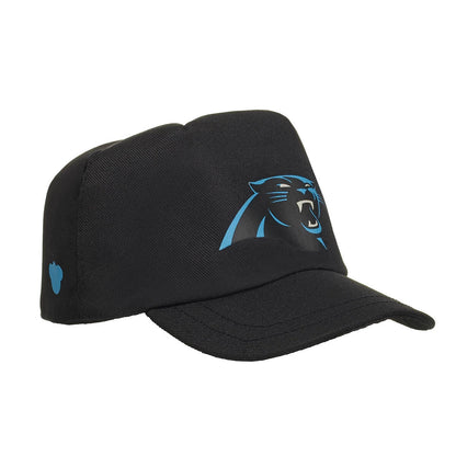 Carolina Panthers Timeless Teddy Bear Football Gift Set - US 3211