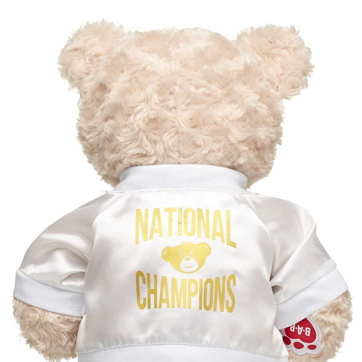 Varsity Spirit National Champions Jacket | Build-A-Bear® - US 5858