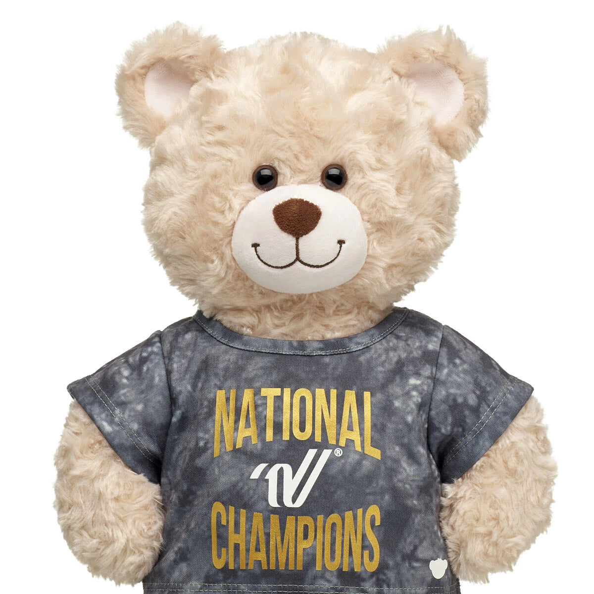 Varsity Spirit National Champions T-Shirt | Build-A-Bear® - US 3322