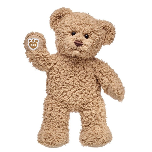 Timeless Teddy Bear | Build-A-Bear® - US 6167