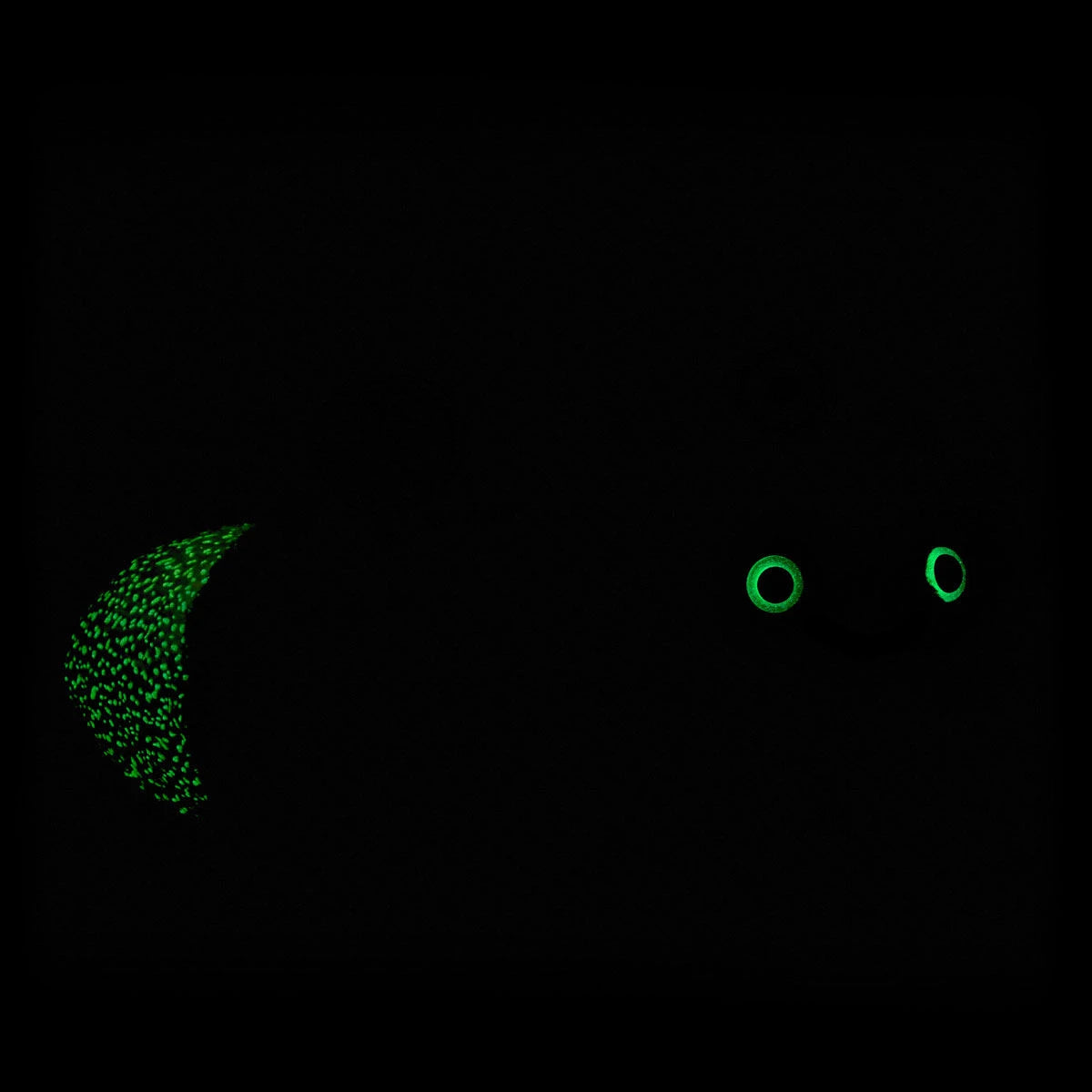 Glow-in-the-Dark Lightning Bug Stuffed Animal | BAB - US 9250