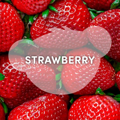 Strawberry Lemonade Bear Slushie Plushie Scented | BAB - US 8561