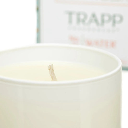 No. 20 Water 3.75 oz. Small Poured Candle | Build-A-Bear® - US 2979