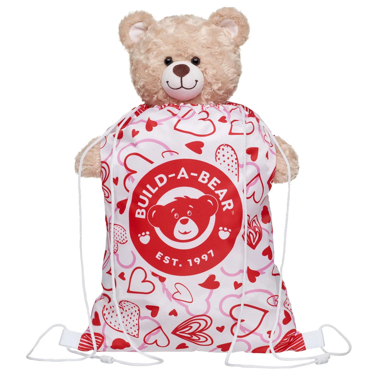 Valentine's Day Toy Bear Carrier | Build-A-Bear - US 8292