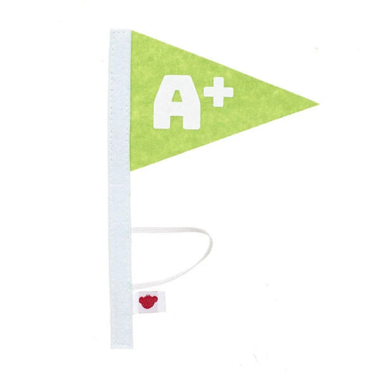 A+ Flag Wristie for Stuffed Animals | Build-A-Bear® - US 2754