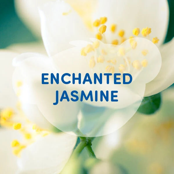 Enchanted Jasmine Scent - US 9151