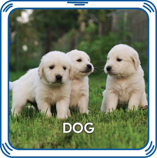 Puppy 5-in-1 Sound for Stuffed Animals | Build-A-Bear® - US 1711