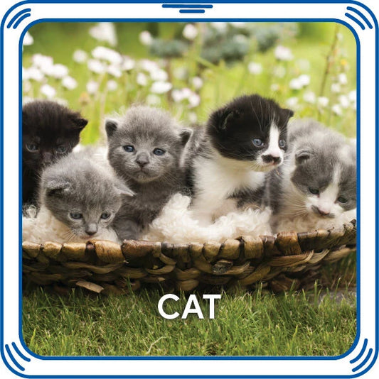 Kitty 5-in-1 Sound for Stuffed Animals | Build-A-Bear® - US 4120