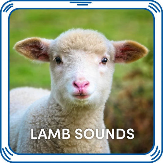 Lamb Sounds for Stuffed Animals | Build-A-Bear® - US 1739