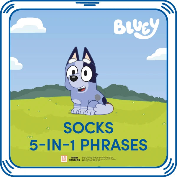 Socks 5-in-1 Phrases | Build-A-Bear - US 5794